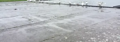 IMG 20260205 112644636 HDR