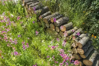 Pile wood logs garden flowers 57276690