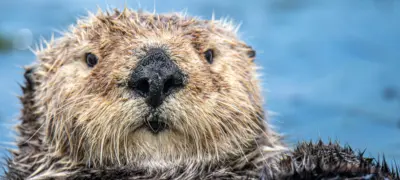 Mana5280 mh Xop68 UA Gk unsplash