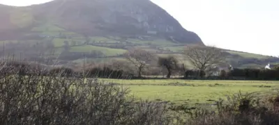 Trefor