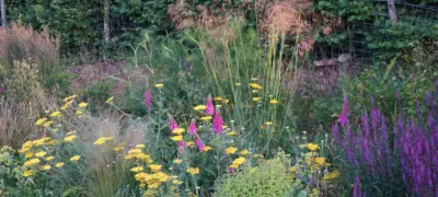 DSC09149