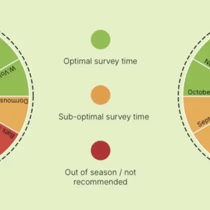 Land Studios guide to the ecological year