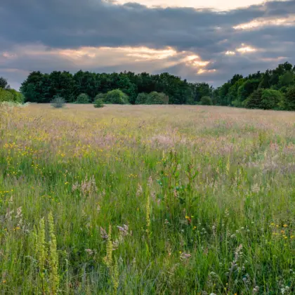 Adobe Stock 213640695