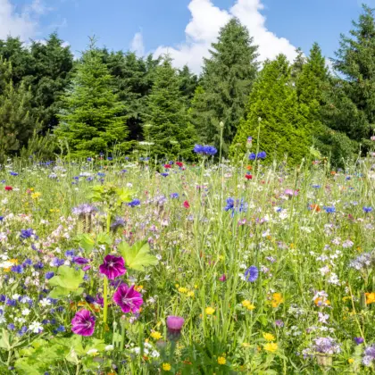 Adobe Stock 473048044