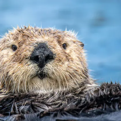 Mana5280 mh Xop68 UA Gk unsplash