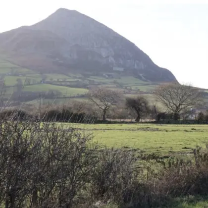 Trefor