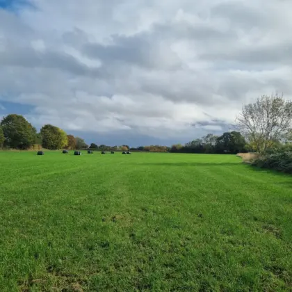Stonebow Road