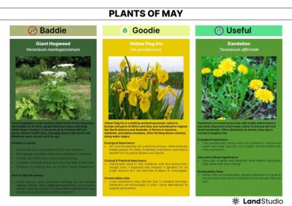 Plant of the Month 05 2026 Newsletter