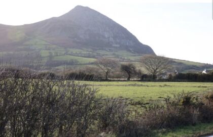 Trefor